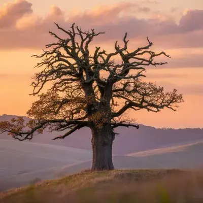 Vitabellamedicalgroup